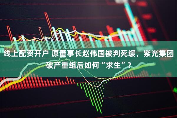 线上配资开户 原董事长赵伟国被判死缓，紫光集团破产重组后如何“求生”？