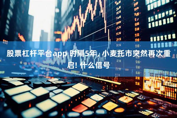 股票杠杆平台app 时隔5年, 小麦托市突然再次重启! 什么信号