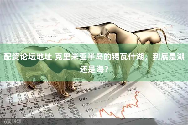 配资论坛地址 克里米亚半岛的锡瓦什湖，到底是湖还是海？